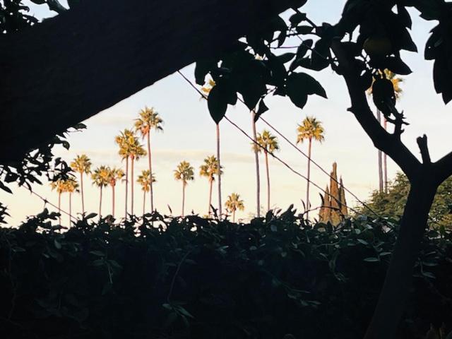 Costa Mesa Homestay - Private Rooms With 2 Shared Baths And Hosts Onsite Eksteriør bilde